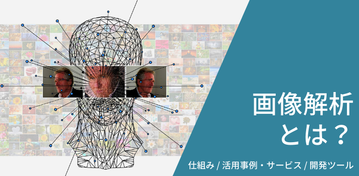記事「画像解析」のトップ画像